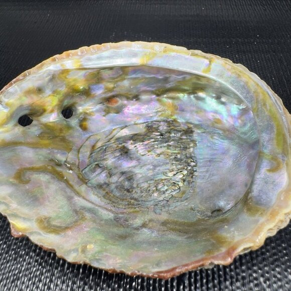 Vintage Abalone Shell Trinket Dish Mother Of Pearl Iridescent Finish Dish Bowl - Picture 6 of 16